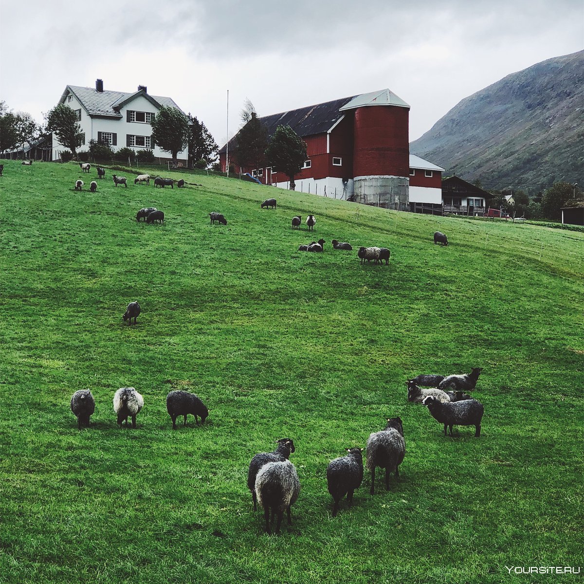 Ферма в Норвегии