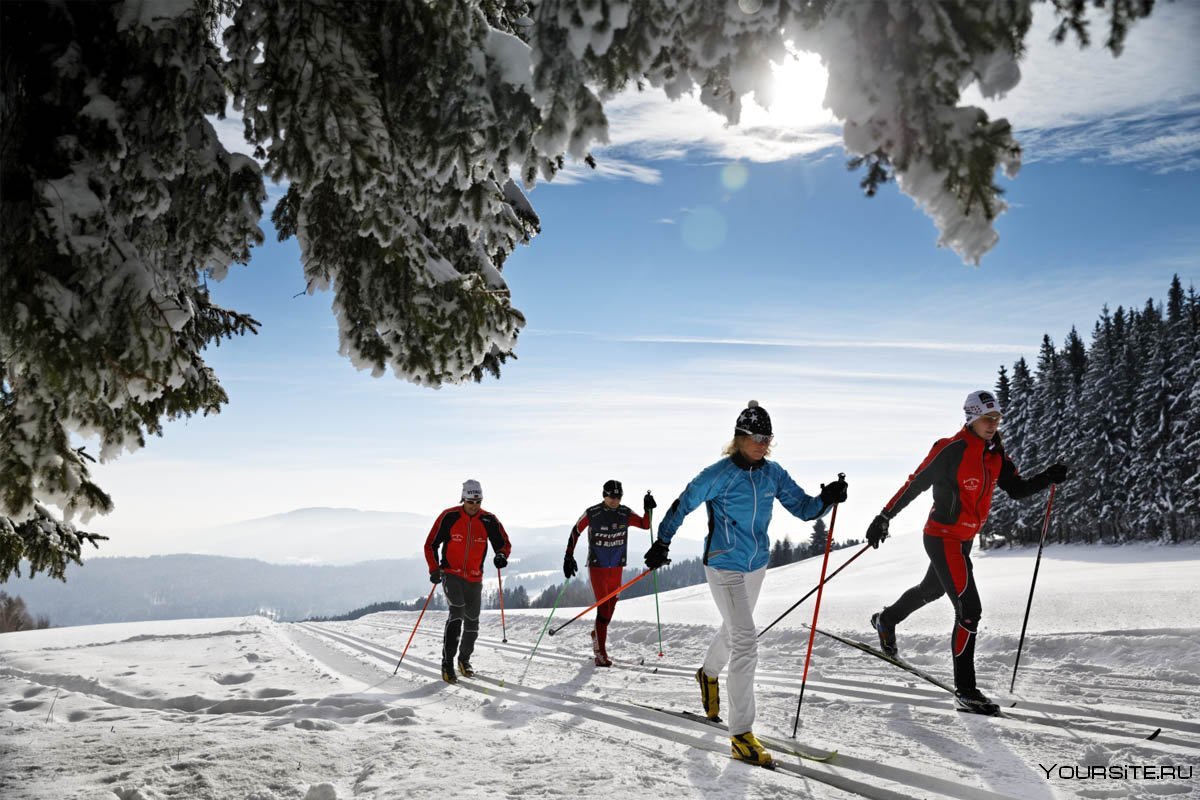 Лыжные гонки природа