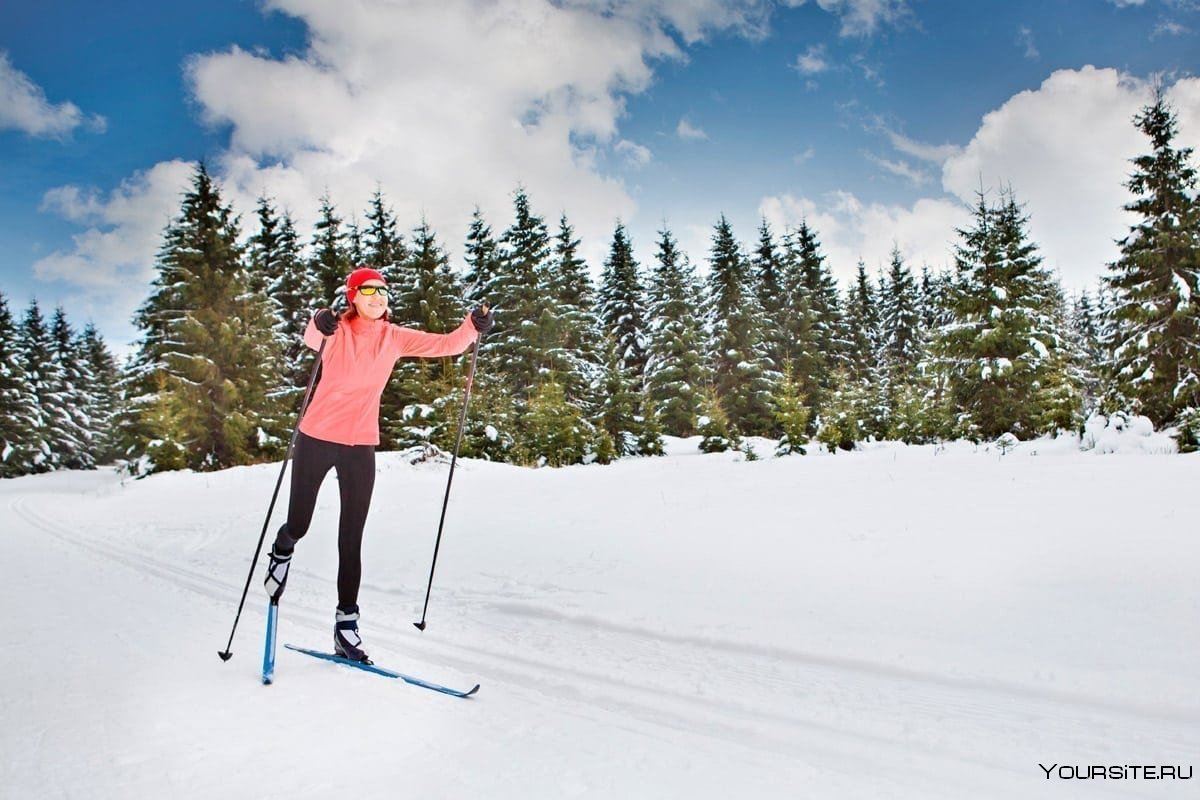 Виды спорта беговые лыжи