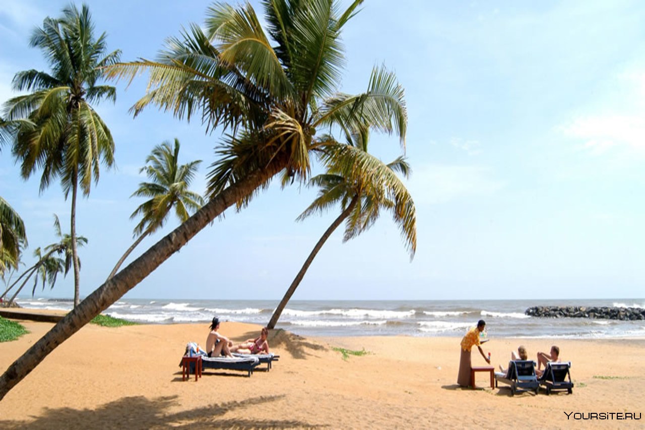 Шри ланка в январе. Бентота на Шри Ланке. Пляж Бентота Шри Ланка. Клаб Бентота Шри Ланка. Руи Шри Ланка курорт.