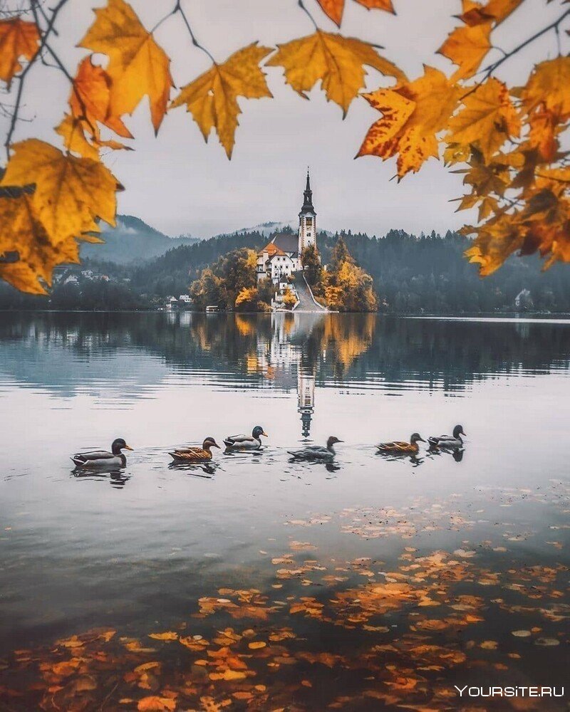 Озеро Блед осень