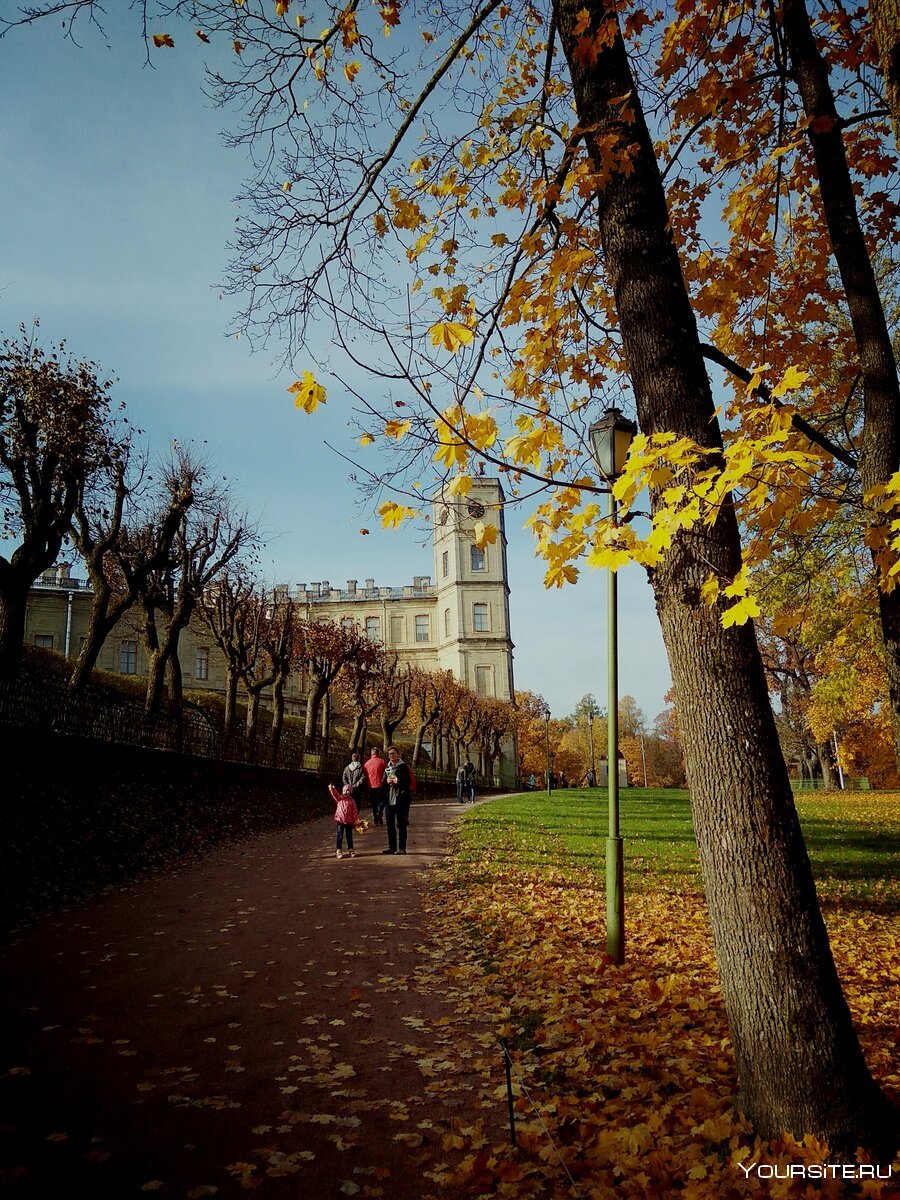 Александровский парк в Питере осенью