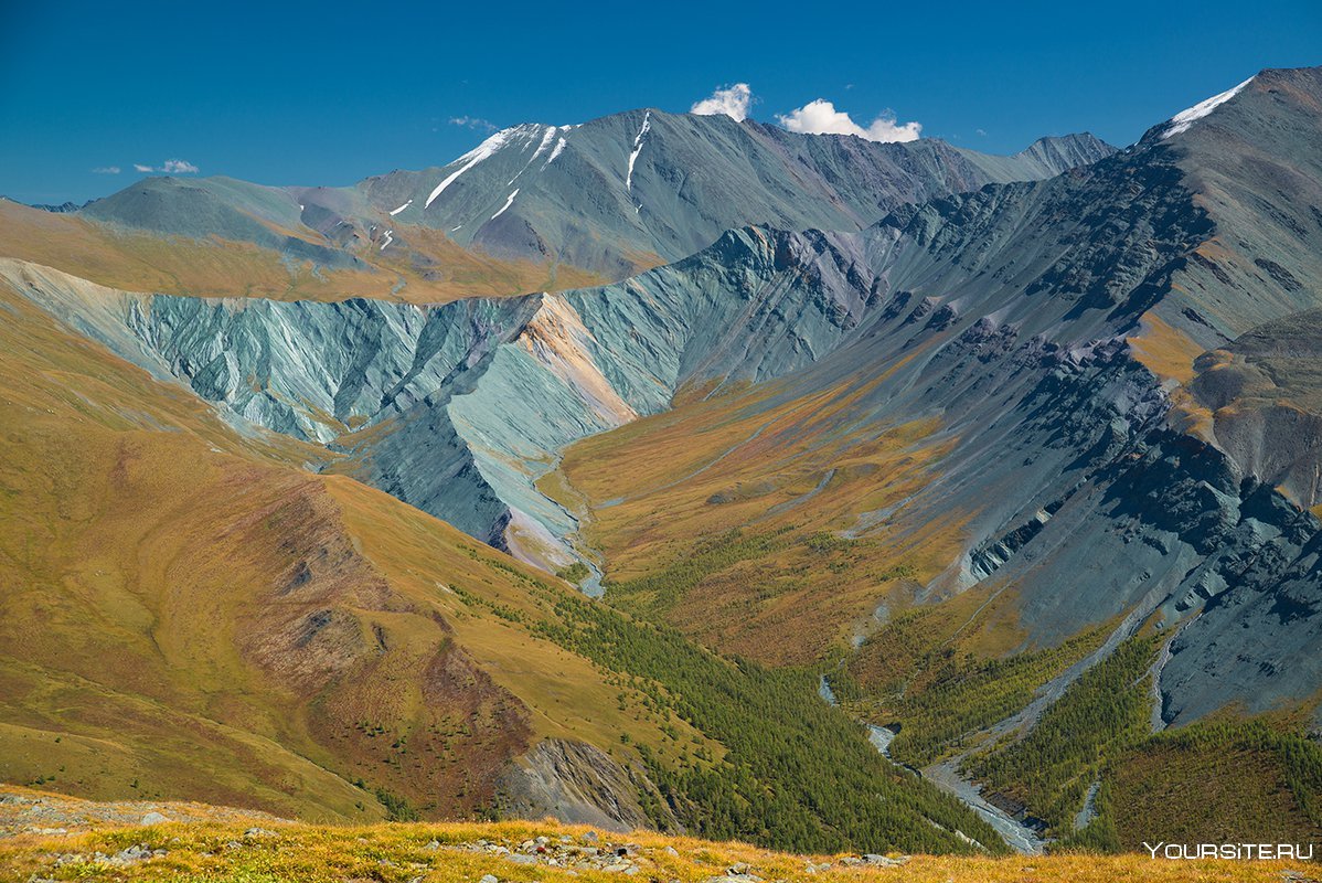 Долина эдельвейсов горный Алтай