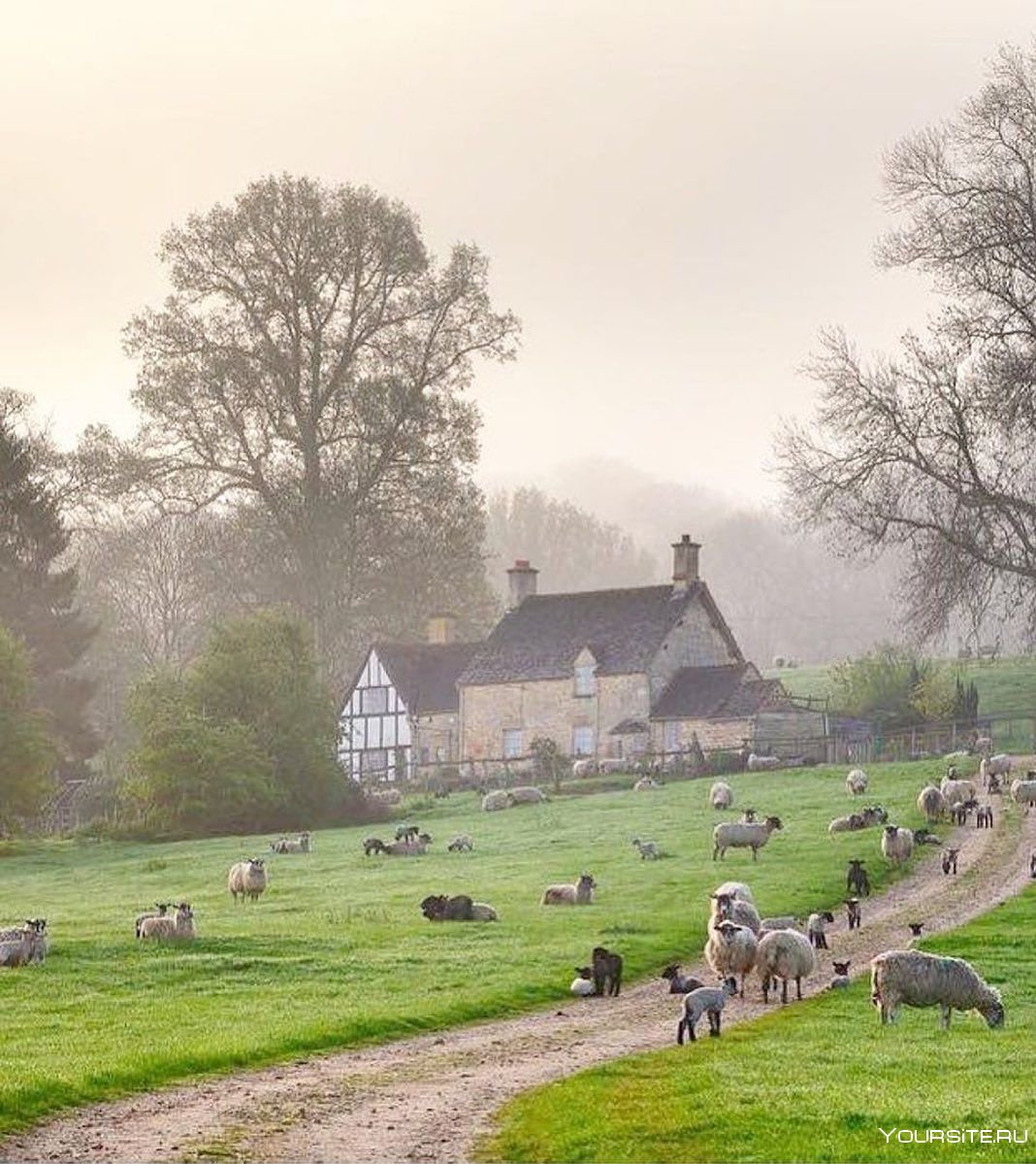 Ферма в Англии Глостершир
