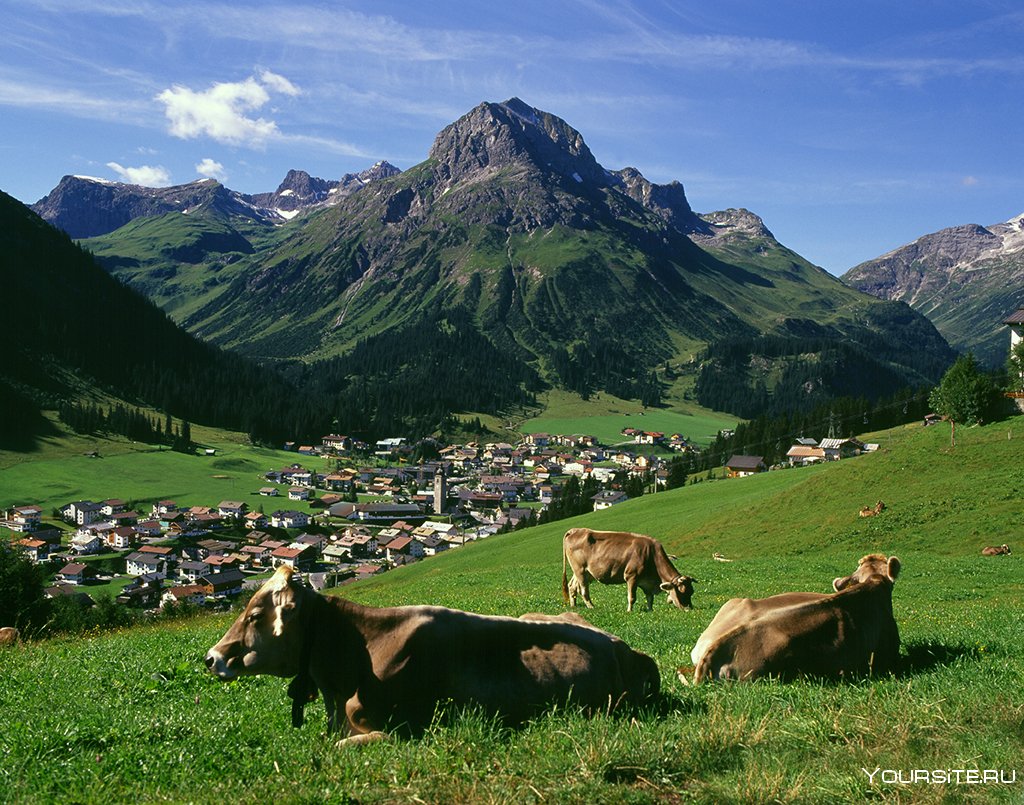 Фермерское хозяйство в Швейцарии