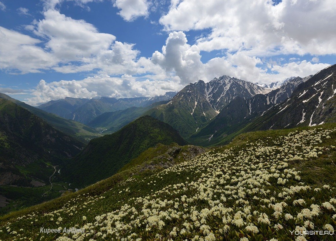 Кавказский заповедник гора Фишт