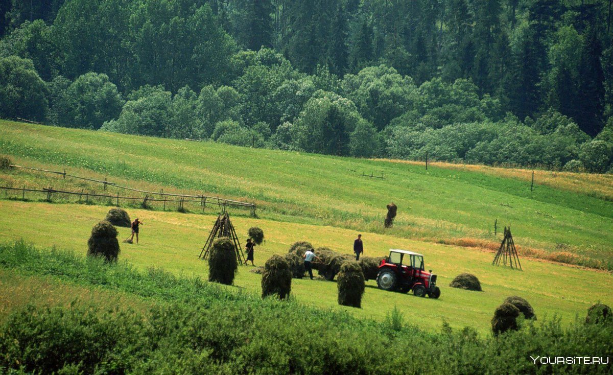 Фермерское хозяйство в Германии