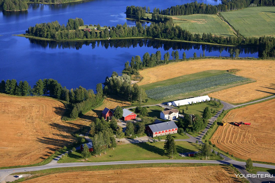 Сельское хозяйство Финляндии Финляндии