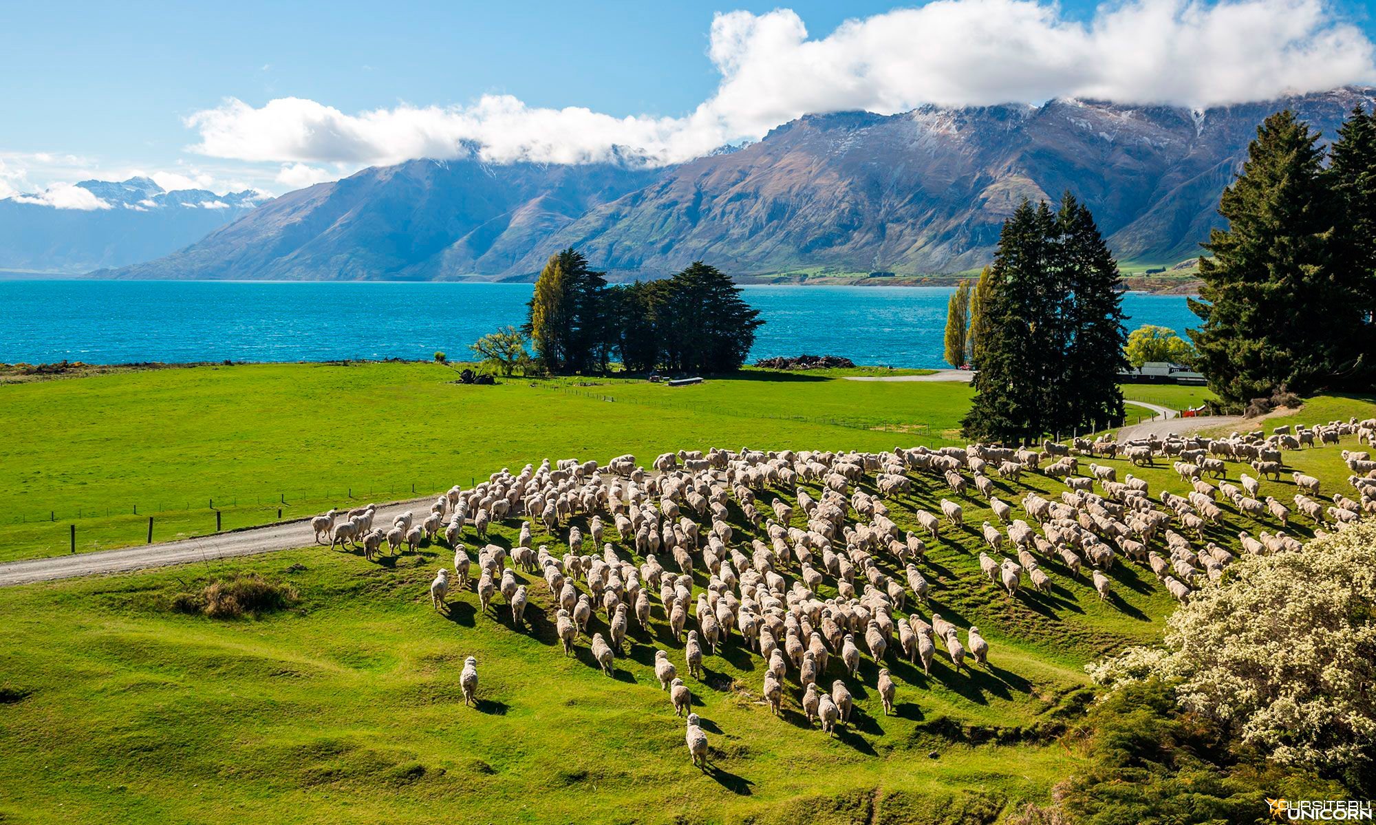 Новая зеландия достопримечательности