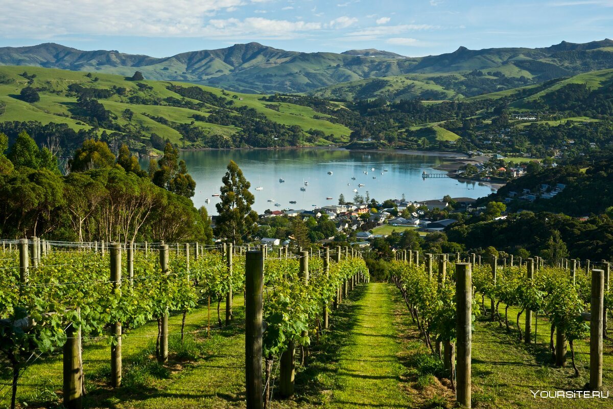 Мальборо винодельня новая Зеландия