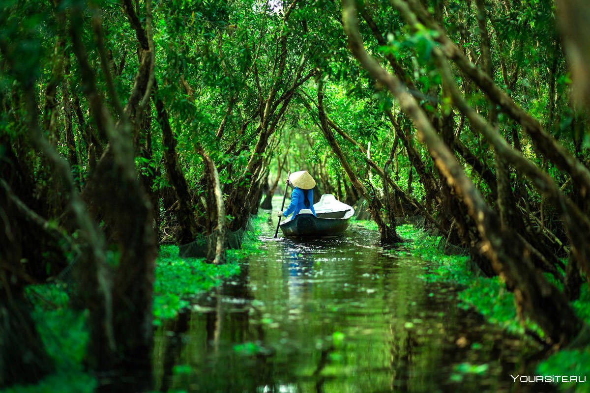 Вьетнамская природа