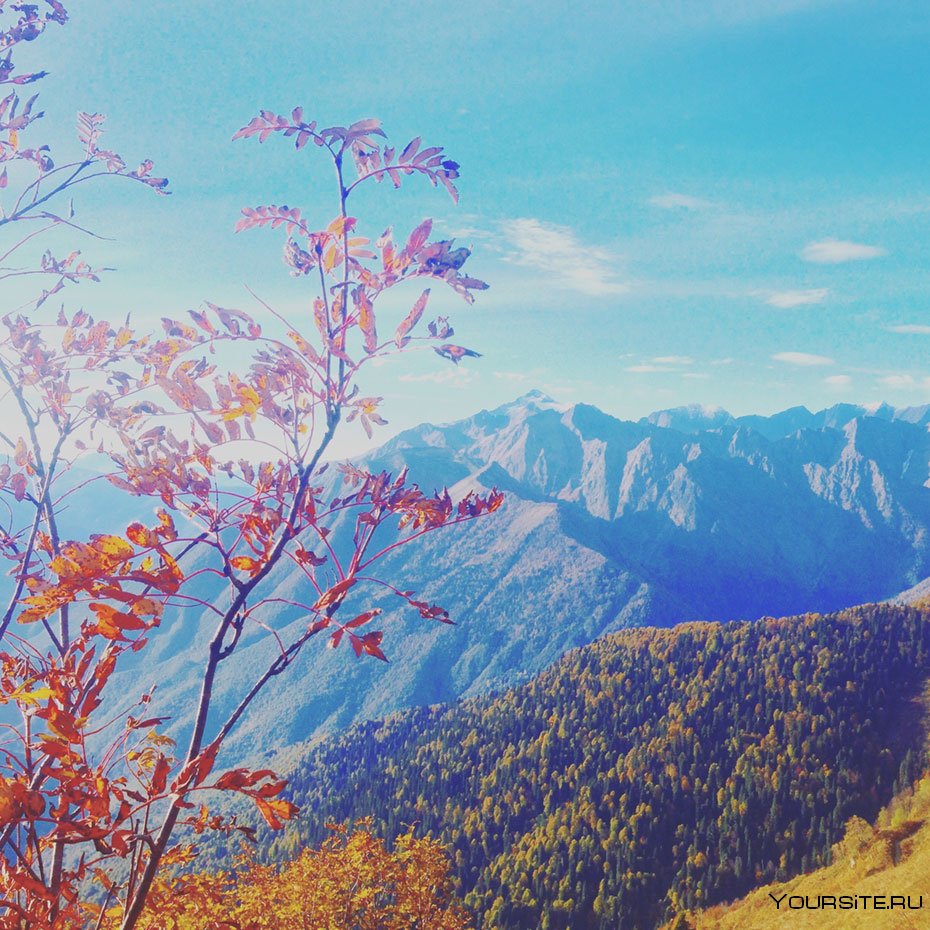 Горы в Сочи красная Поляна осень