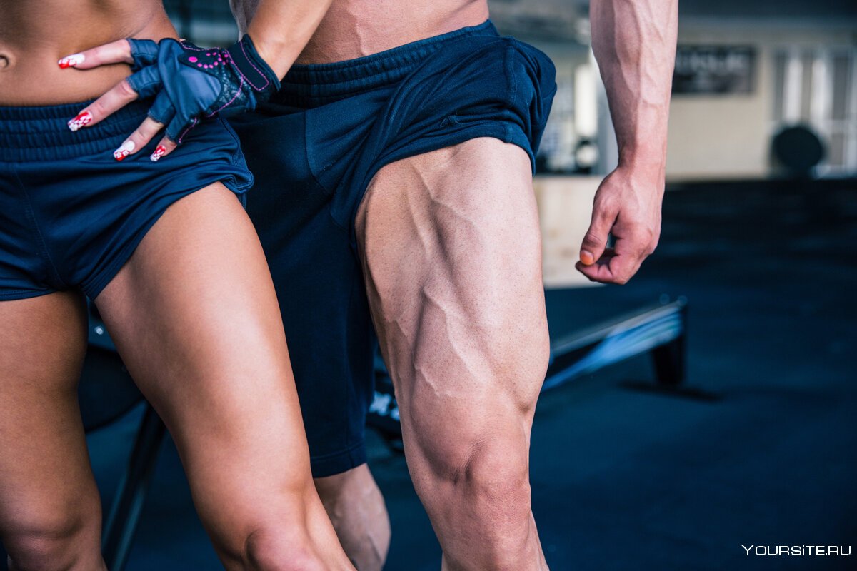 Recuperar masa muscular piernas