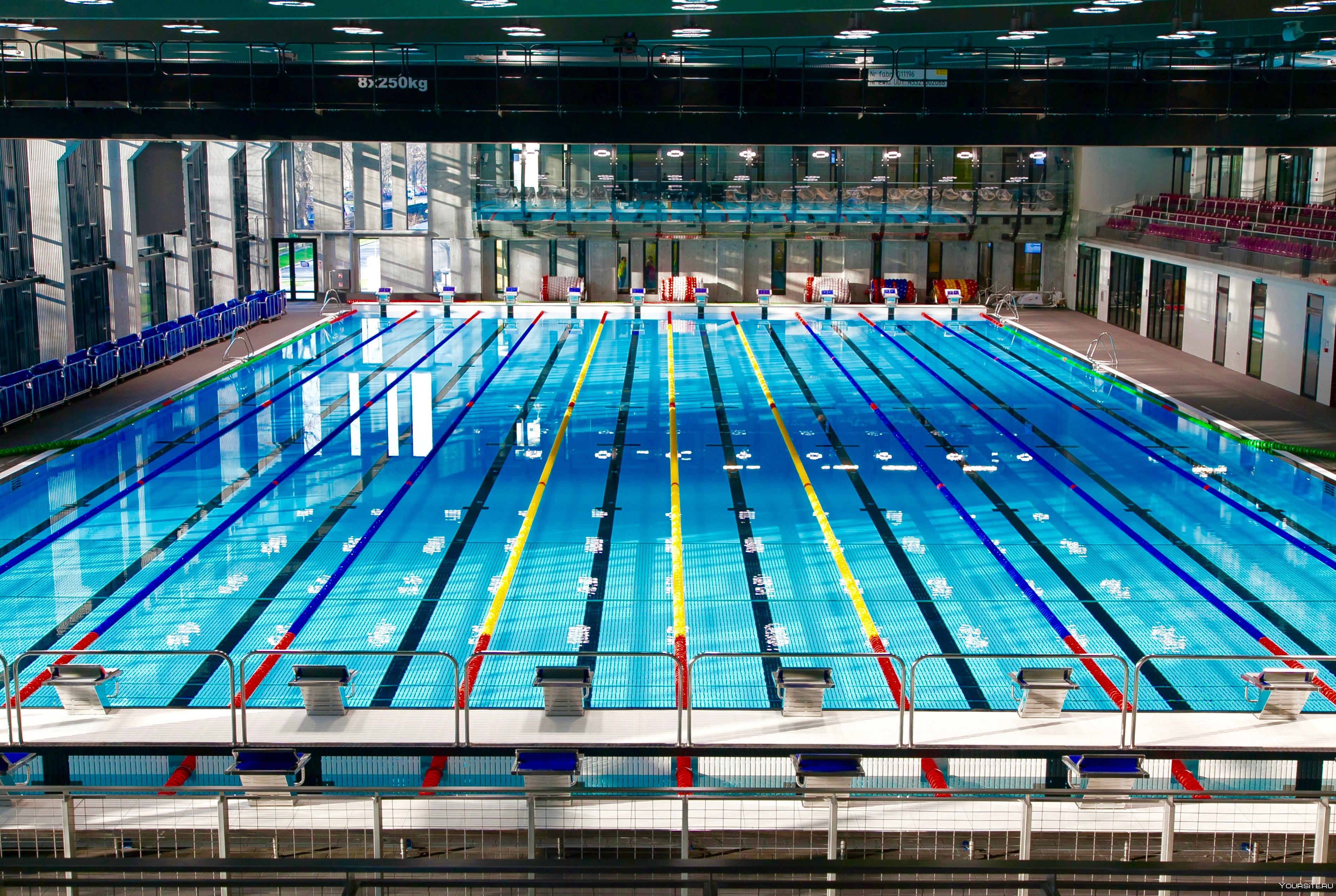 100 метровый бассейн. Олимпийский плавательный бассейн. Плавание бассейн Олимпийский. Олимпийский плавательный бассейн в Мюнхене. Олимпийский бассейн 50 метров.