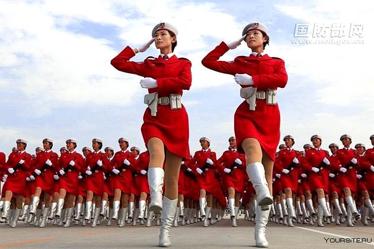 Батальон железная роза армии Китая