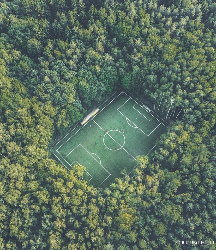 Мещерский лес футбольное поле