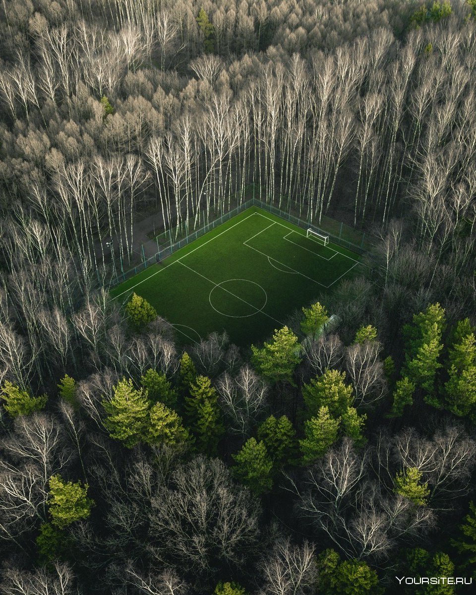 Мещерский лес футбольное поле