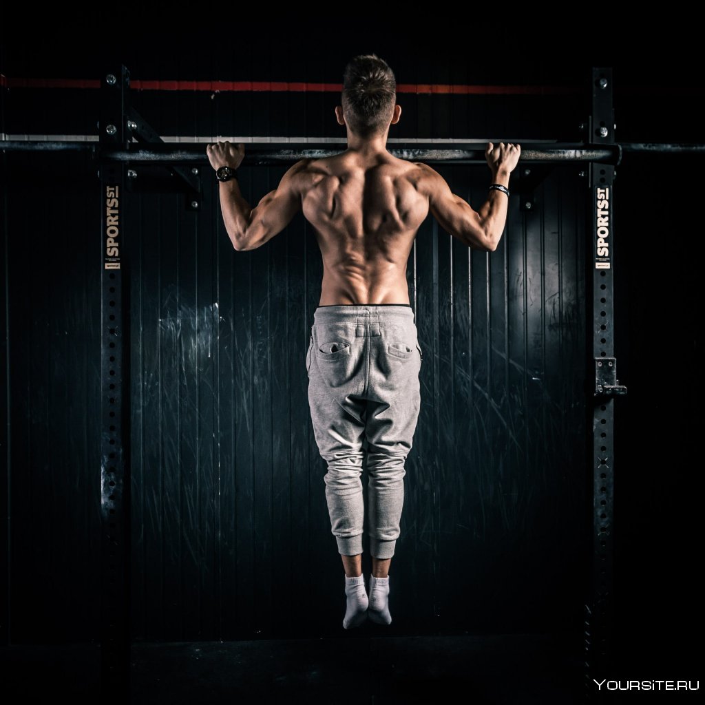 Максим Новиков Calisthenics