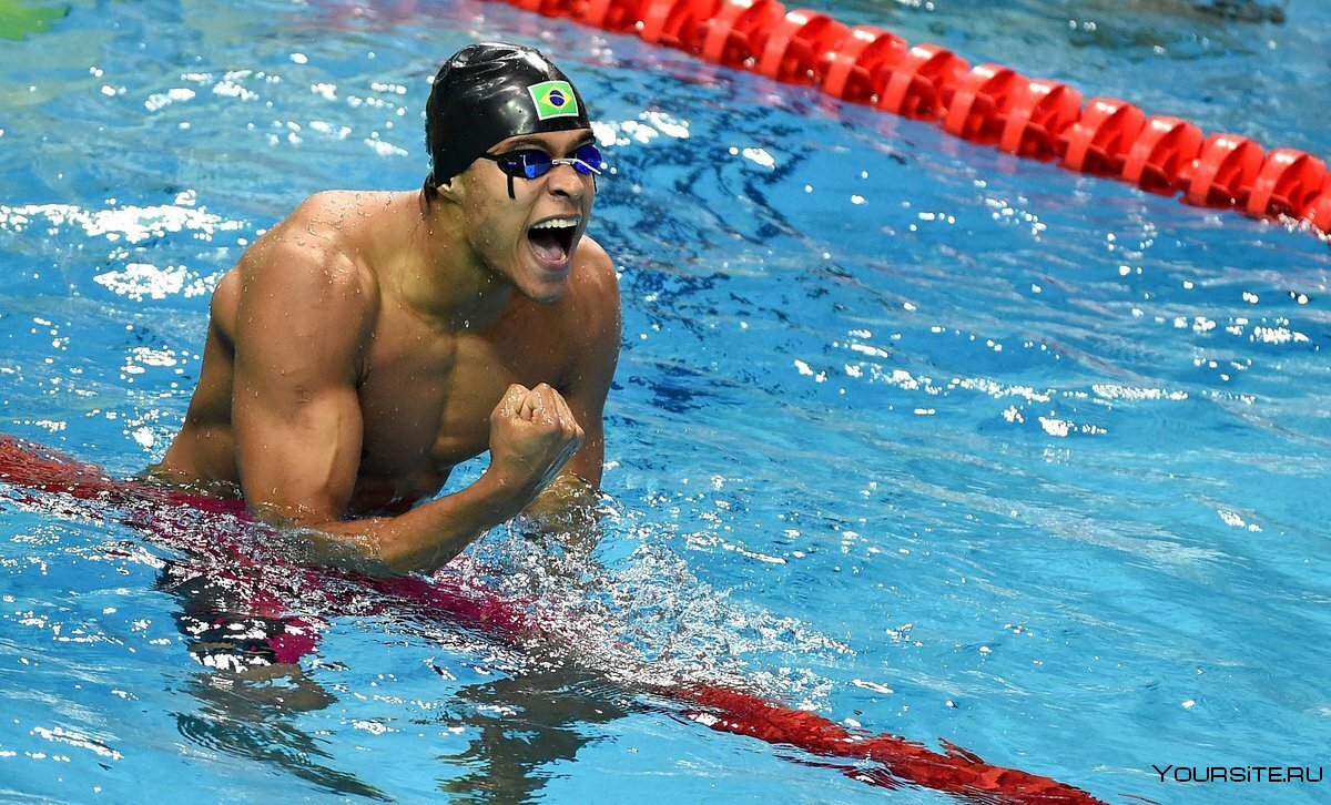 Пловцы на Олимпиаде в Токио