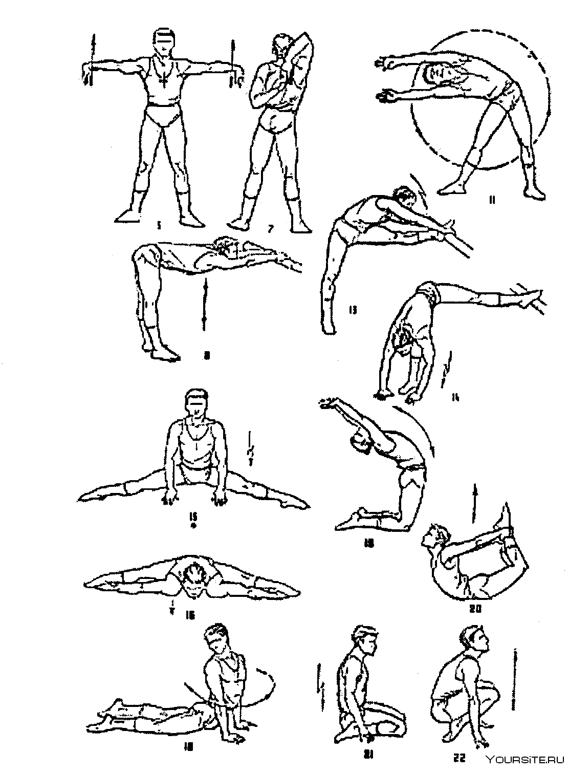 Комплекс любых упражнений. Растяжка для гибкости для начинающих. Тренировки для гибкости тела для начинающих. Статические упражнения на гибкость. Упражнения для гибкости тела для начинающих.