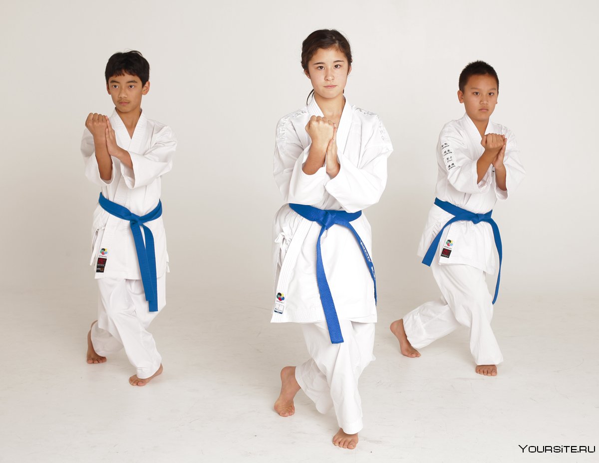 Kyokushin Karate Championships
