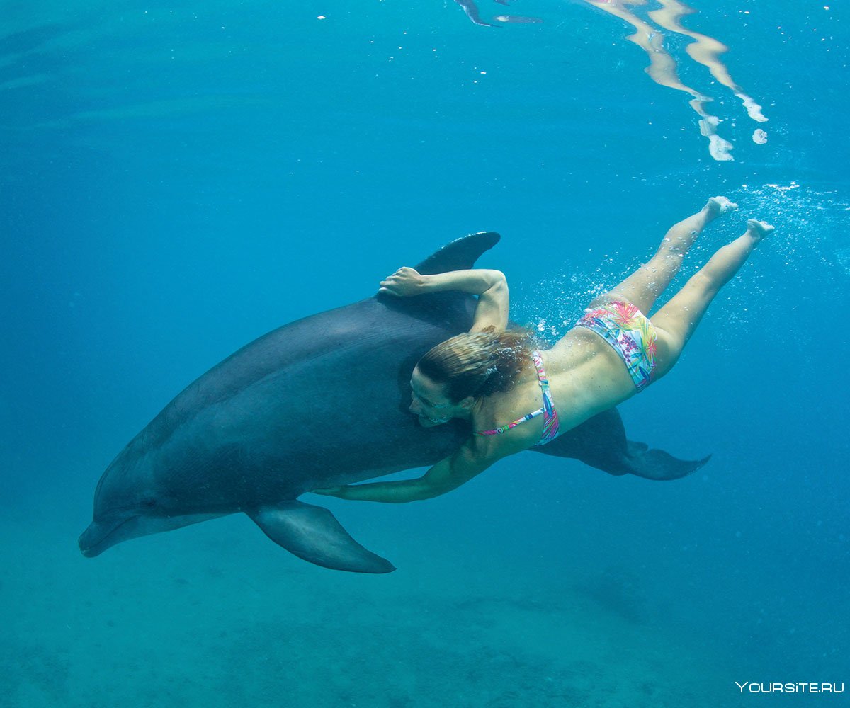 Девушка плавает с дельфином под водой