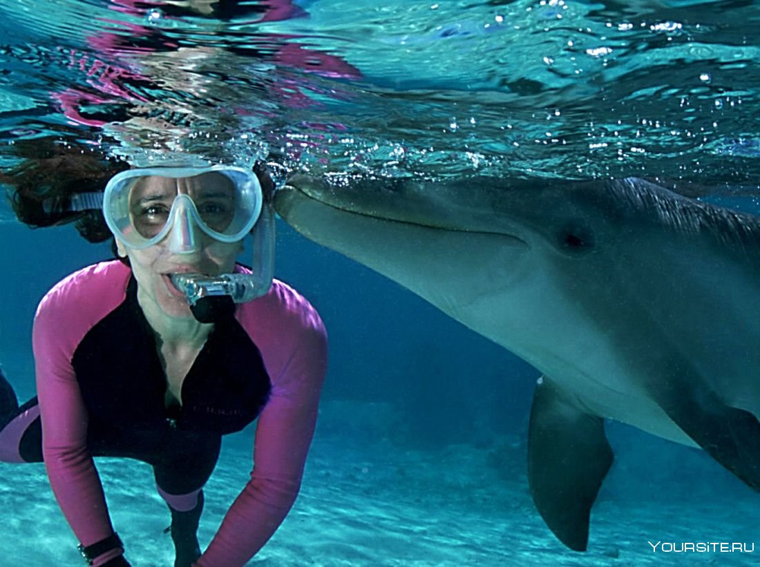 Девушка плавает с дельфинами