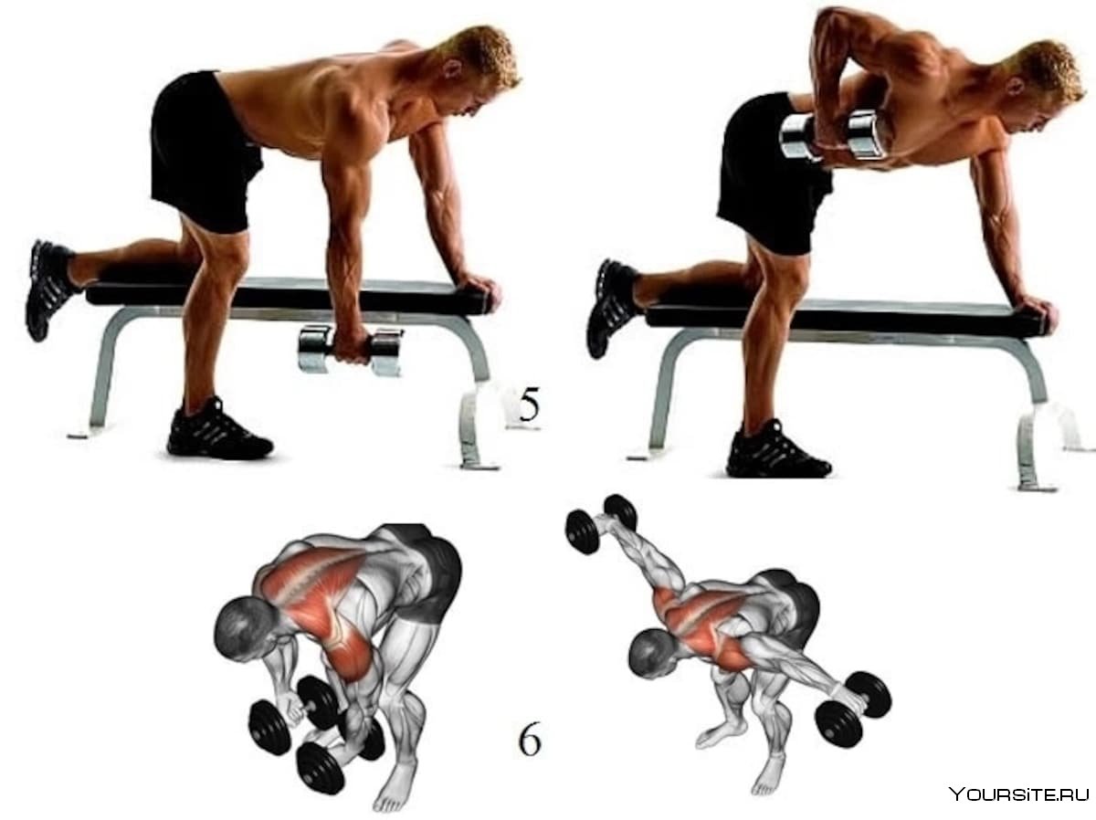 Как накачать спину в домашних мужчине. Упражнения для накачивания мышц спины. Упражнения на спину с гантелей. Тренировка спины с гантелями. Упражнения с Гант на спину.