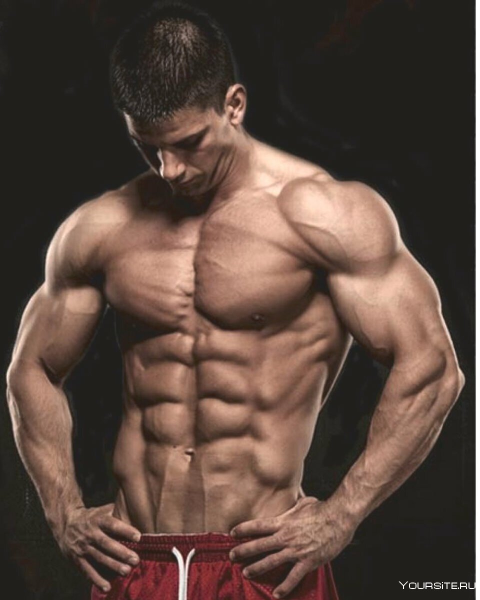 Спортивные девушки красивые