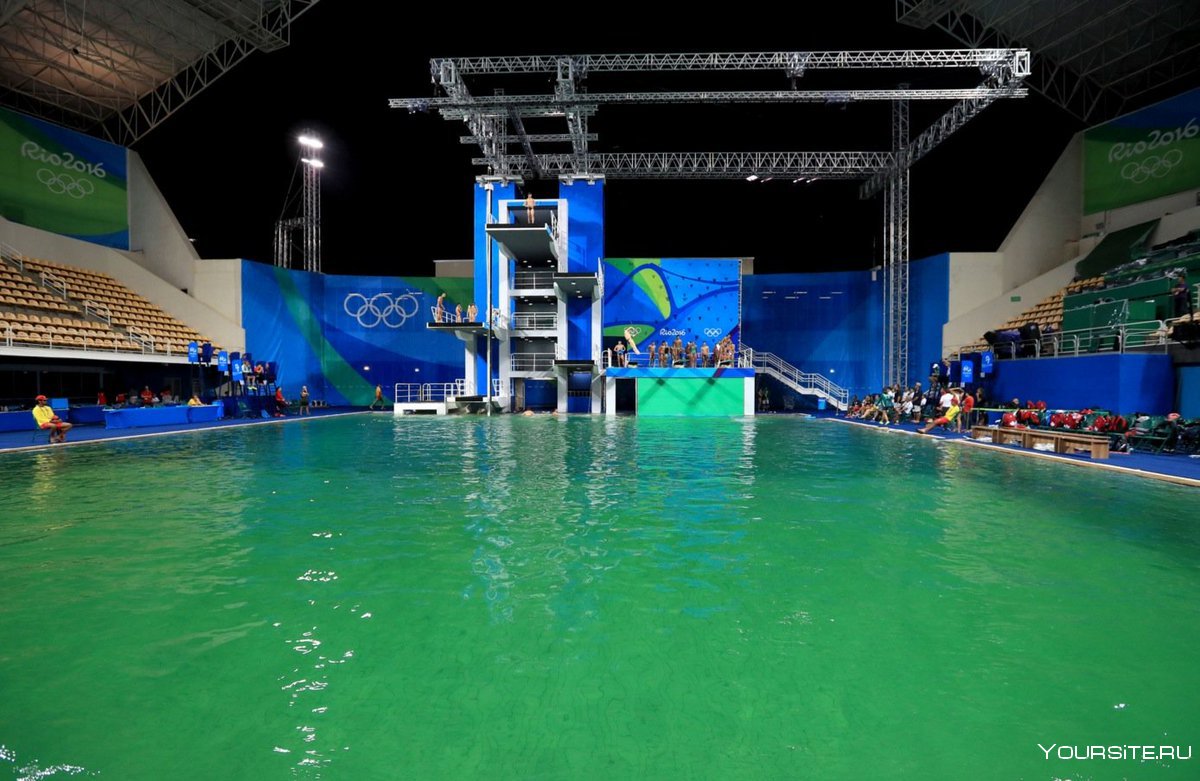 Зеленая вода в бассейне Рио олимпиада