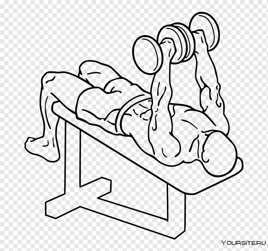 Dumbbell Bench Press упражнение