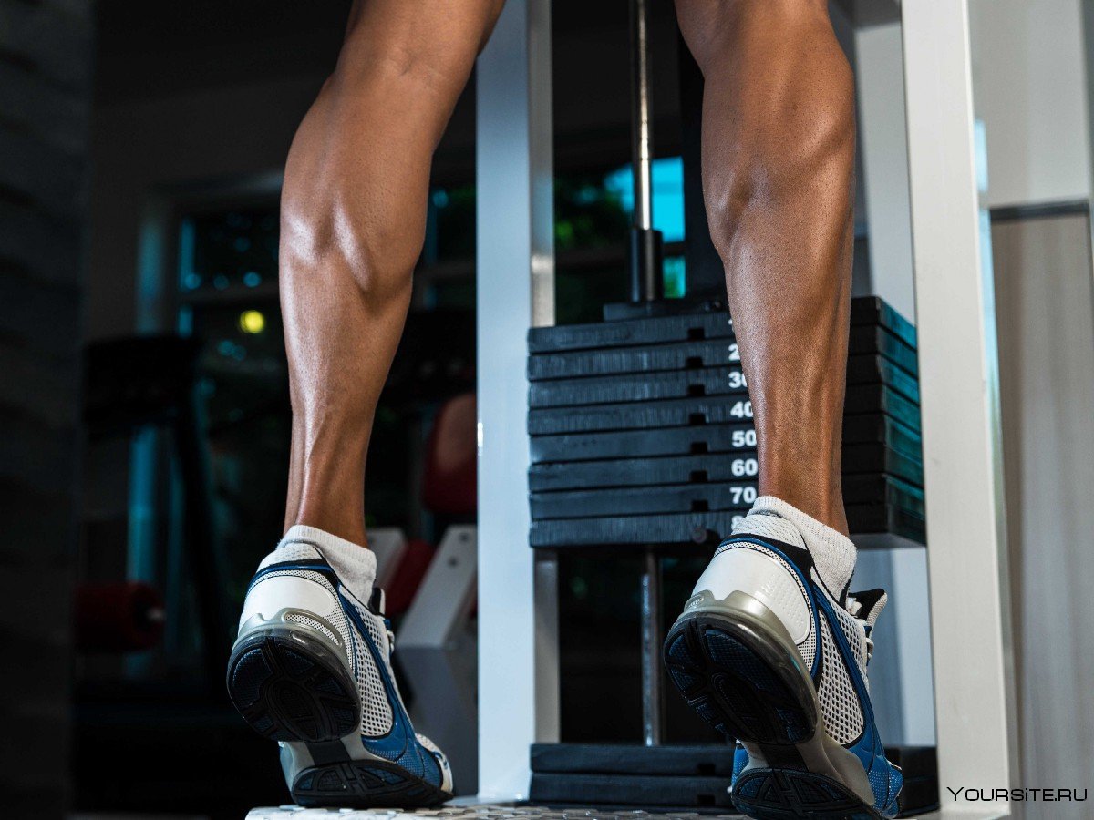 Картинки большие ног. Икроножная мышца. Упражнения для икроножных мышц. Накаченные икроножные мышцы. Икроножная мышца ноги.