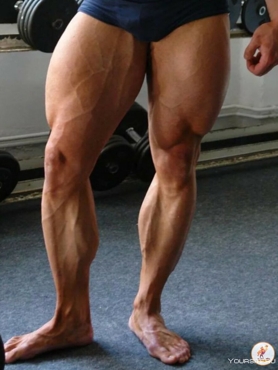 Мускулистые мужские ноги сзади