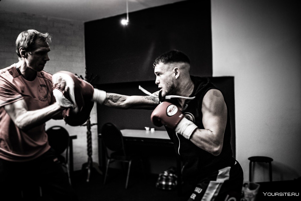 Разновидности боксеров. Дэвид Джако. Ирландский боксер фото. Боксёр в виде тега.