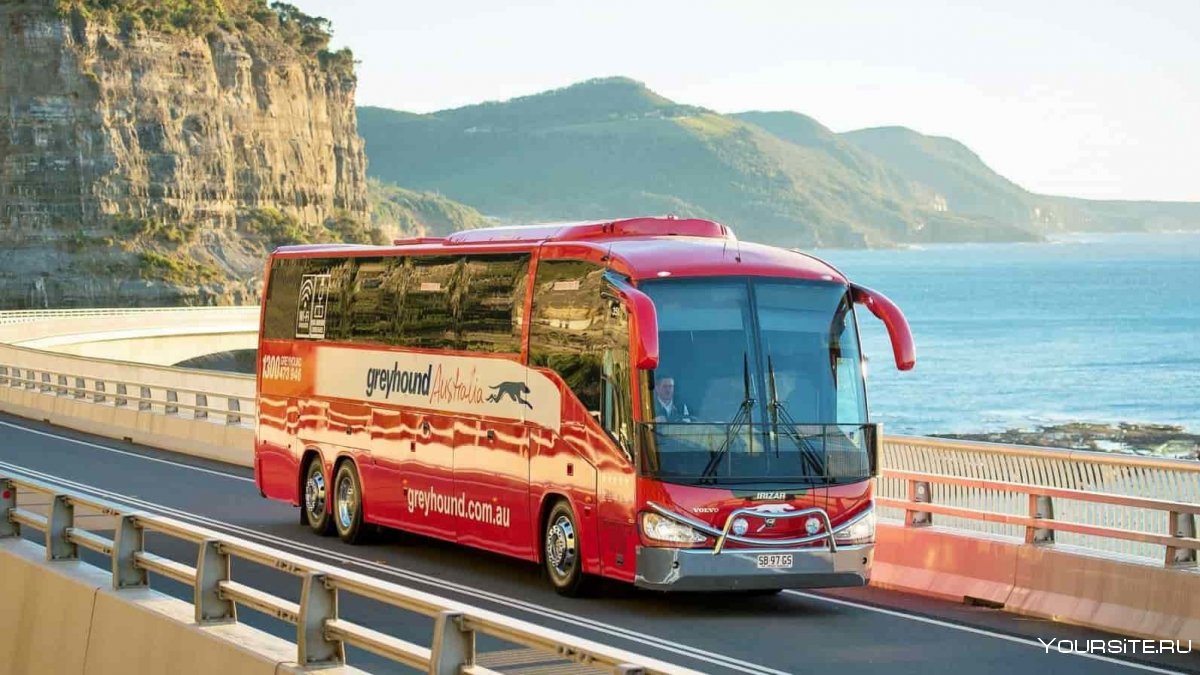 Автобусный тур на черное море