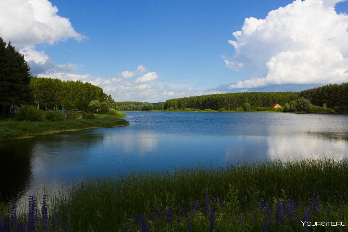Озеро Отгаст Псковской области