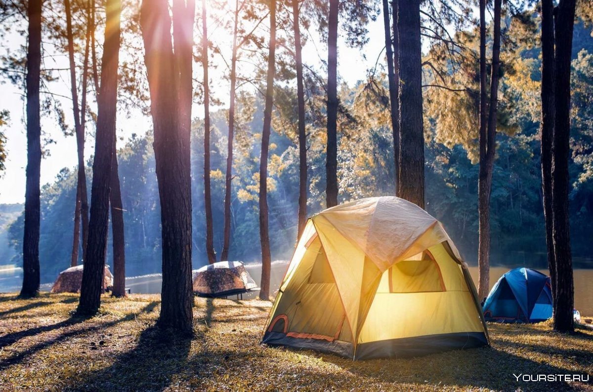 Красивые палатки