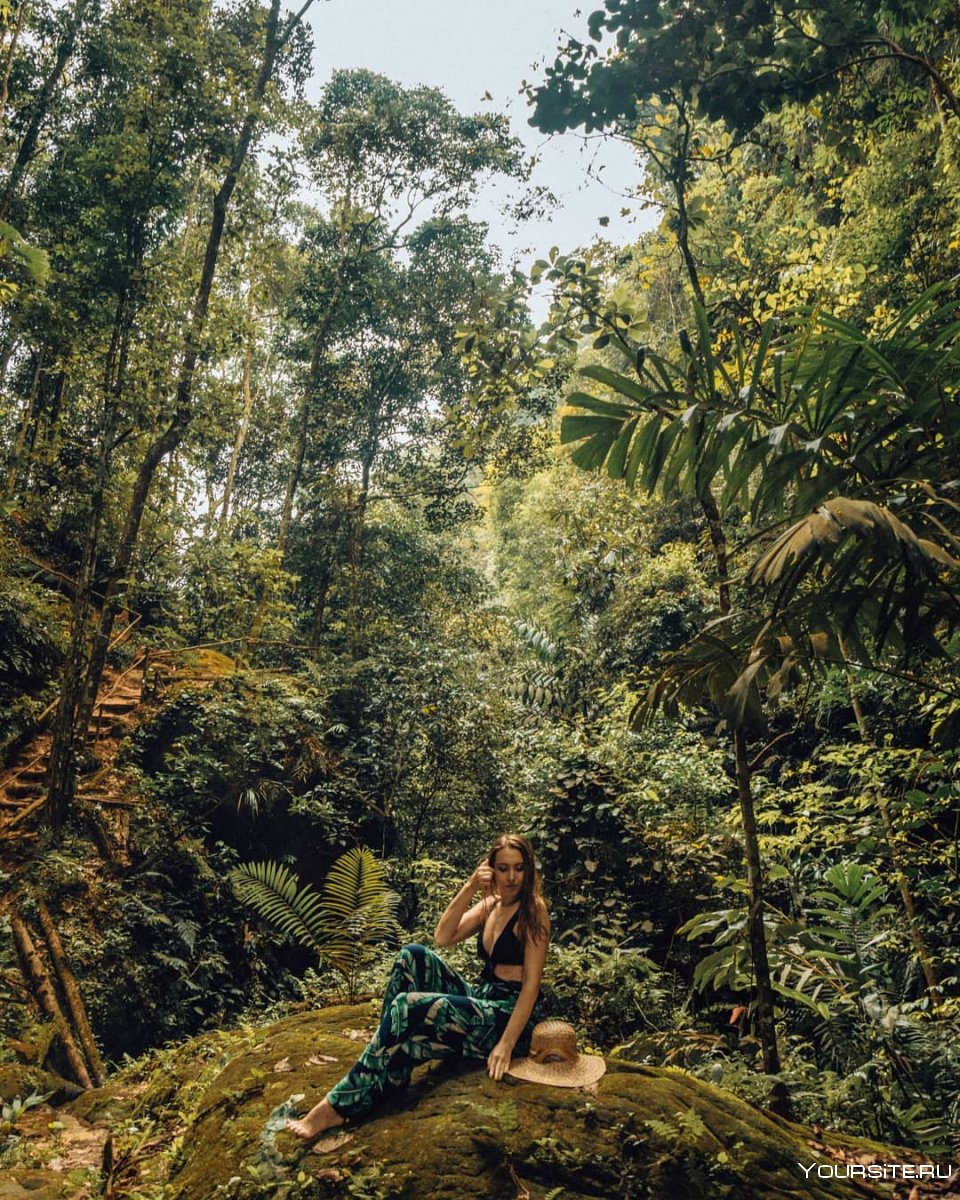 Путешествие в джунгли