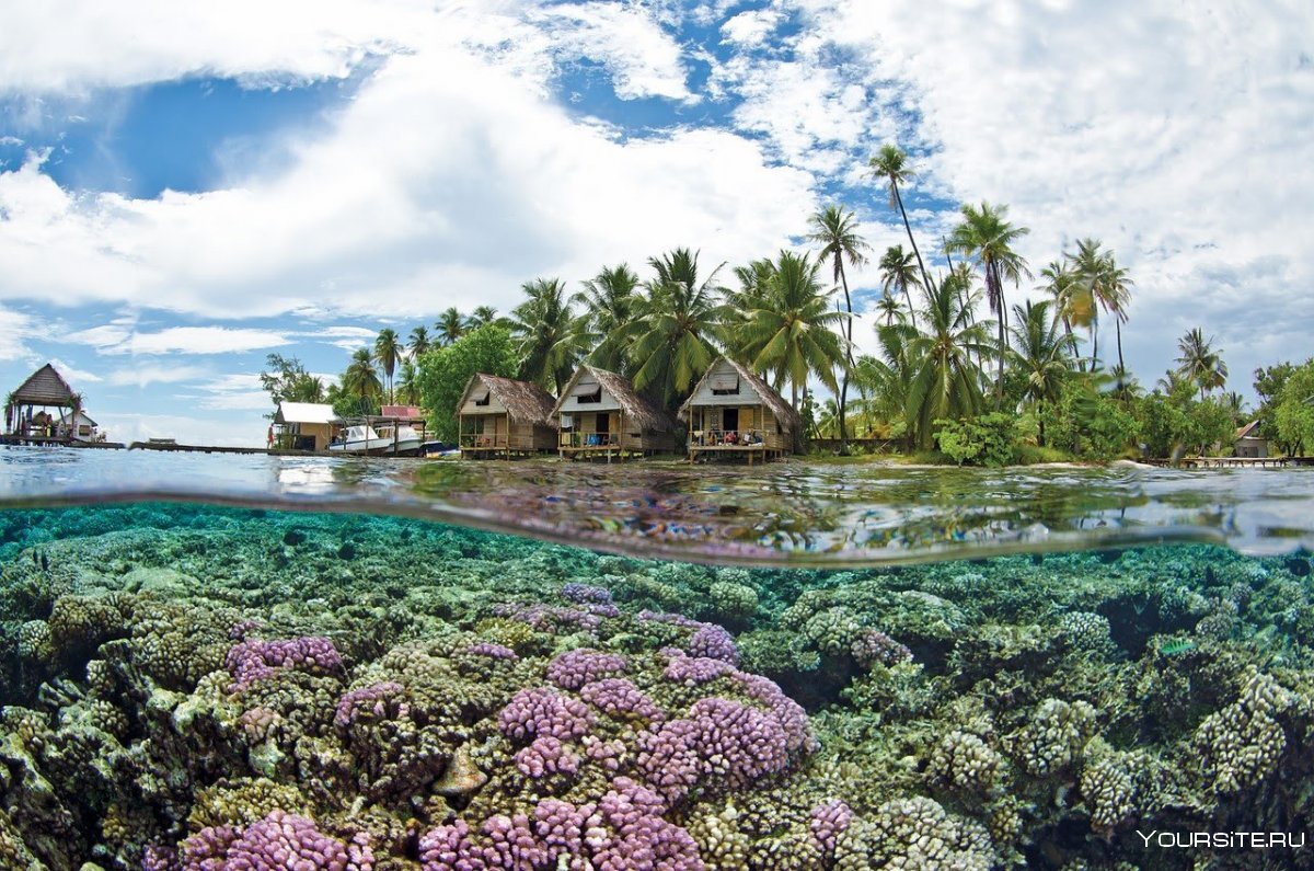 Океания Таити