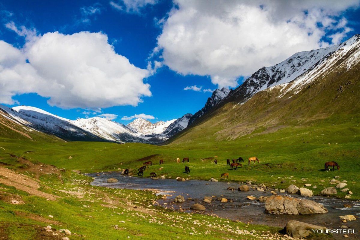 Туристы горы Киргизии