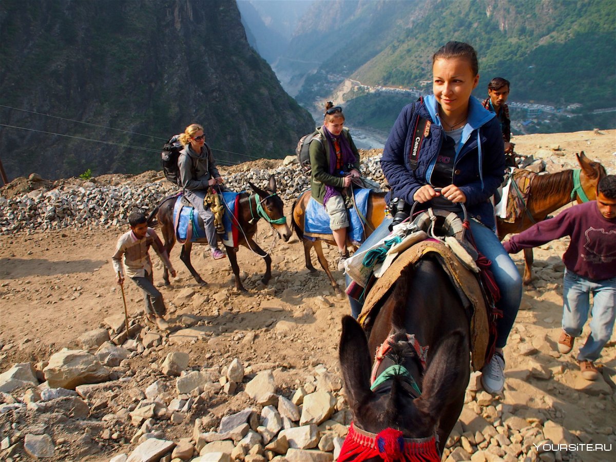 Путешествие в Гималаи книга