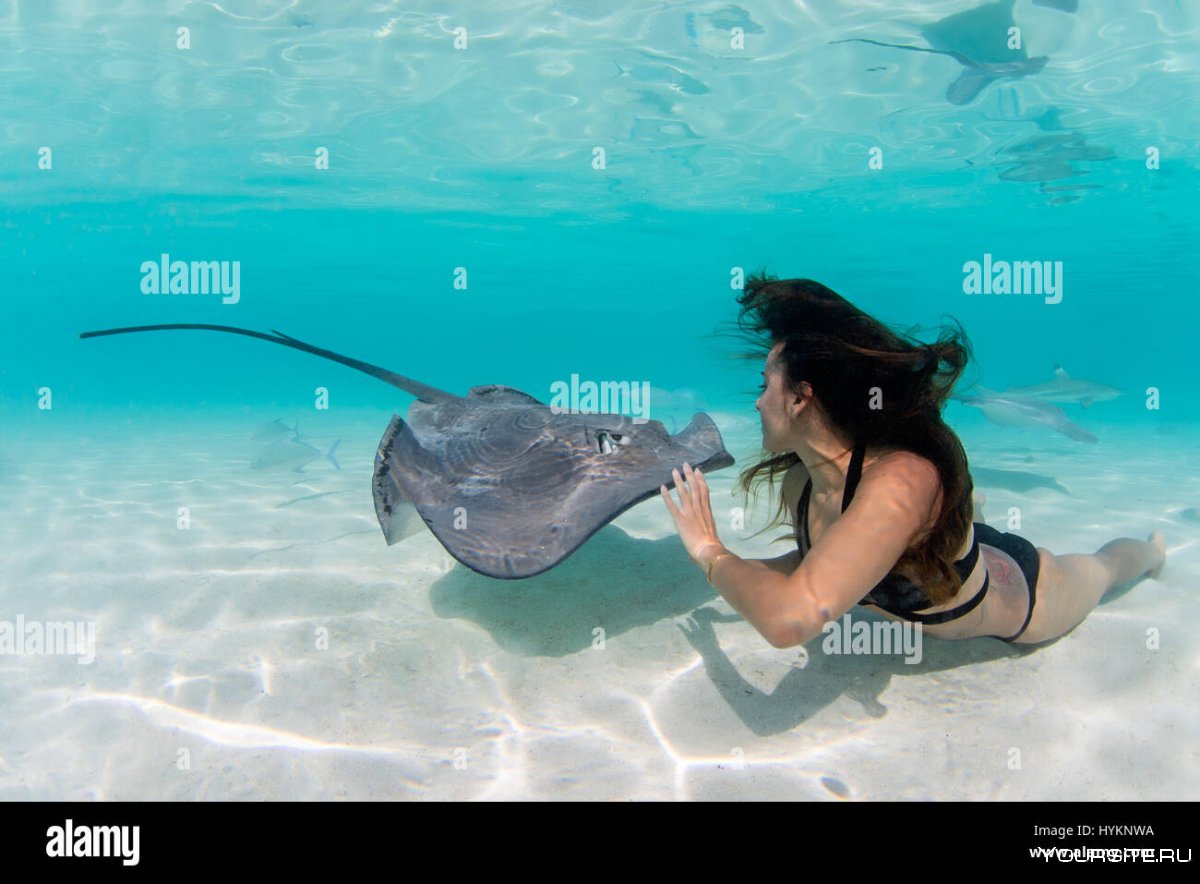 Купание со скатами