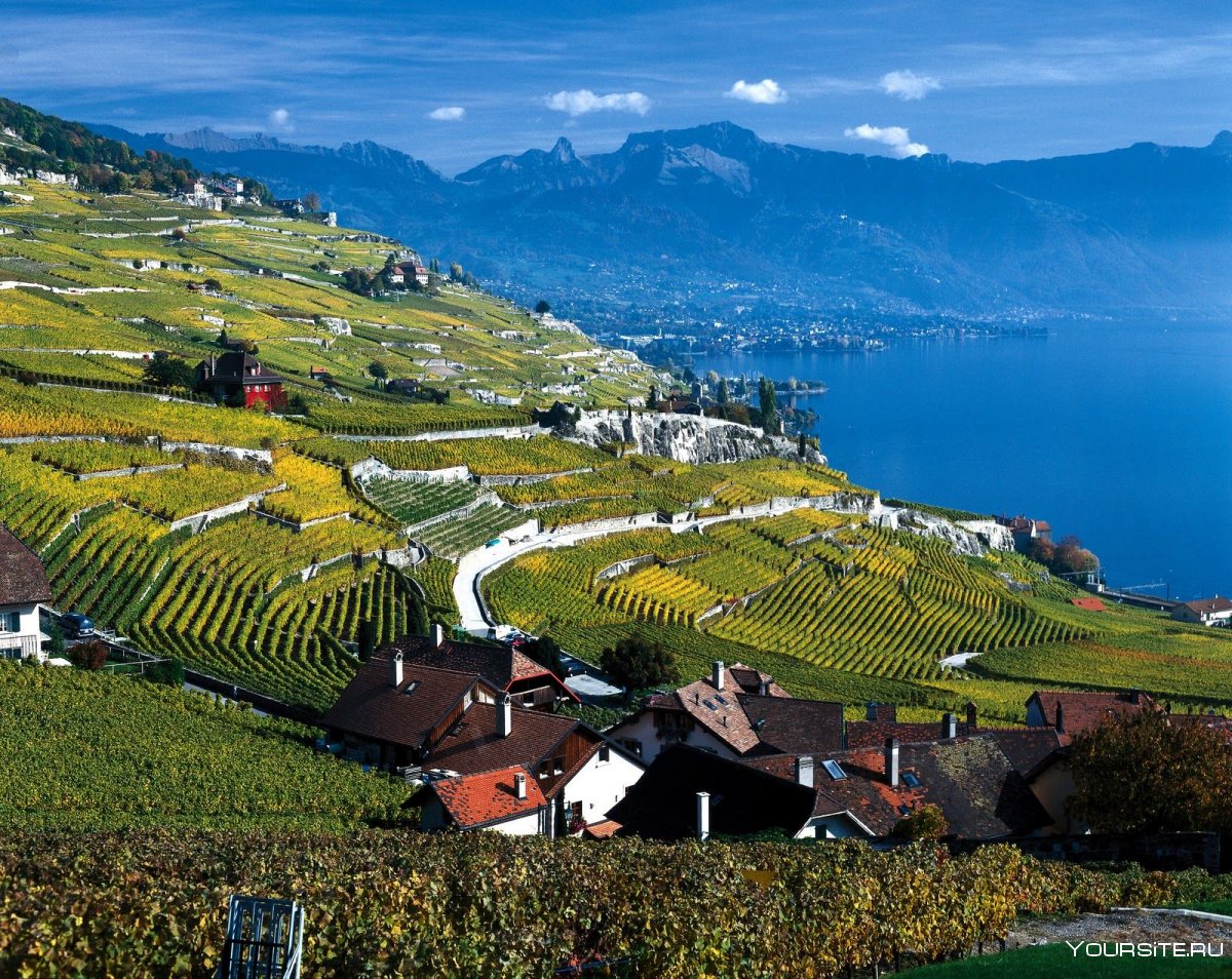 Lavaux Швейцария