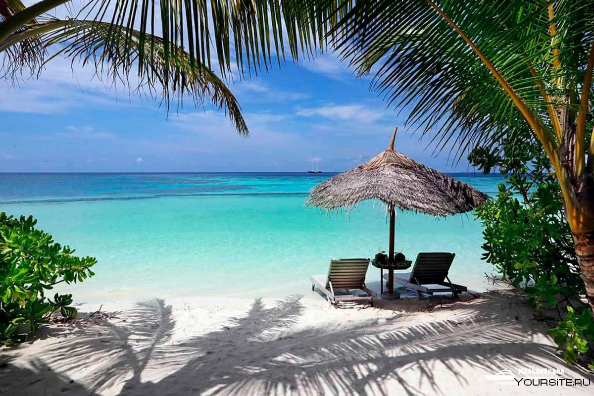 Gangehi Island Resort 5