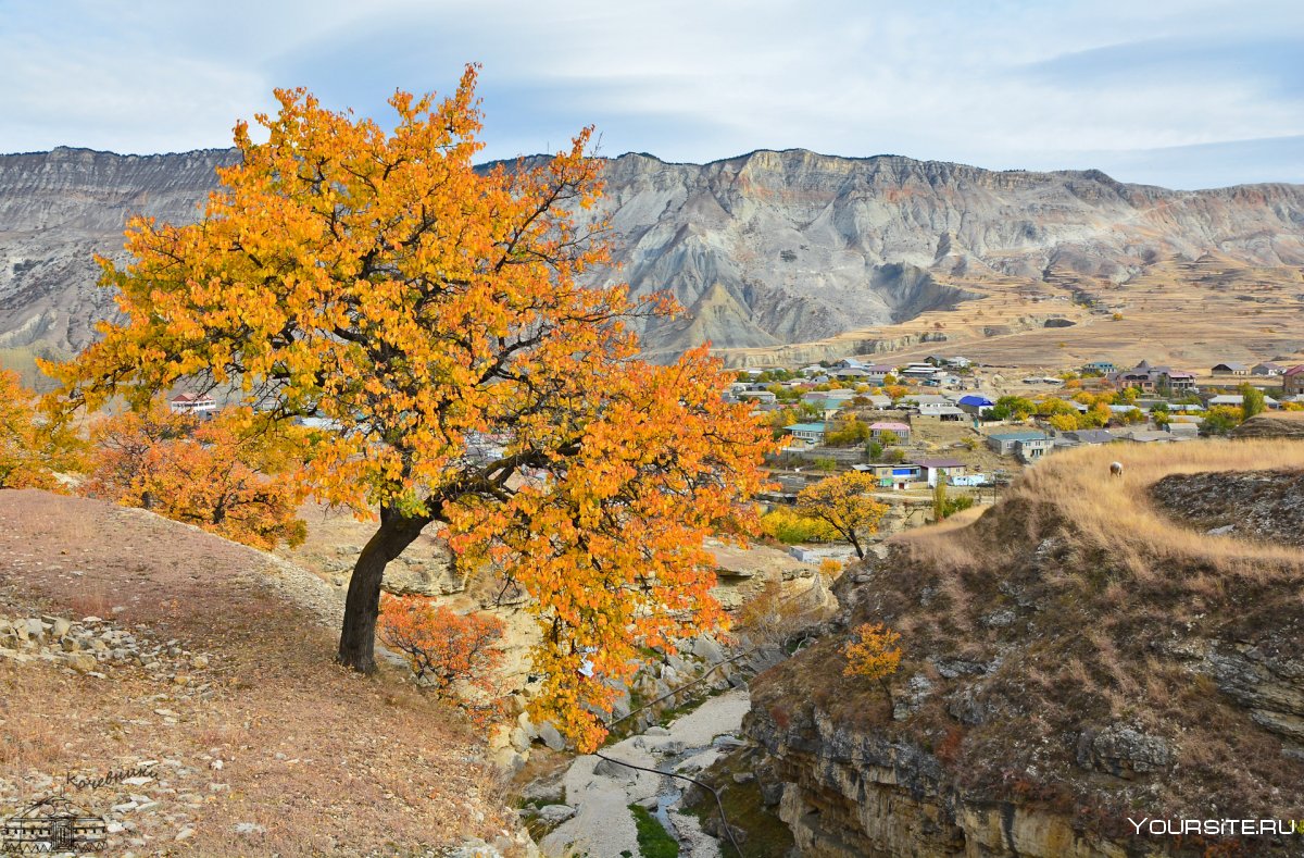 Осенний каньон Дагестана