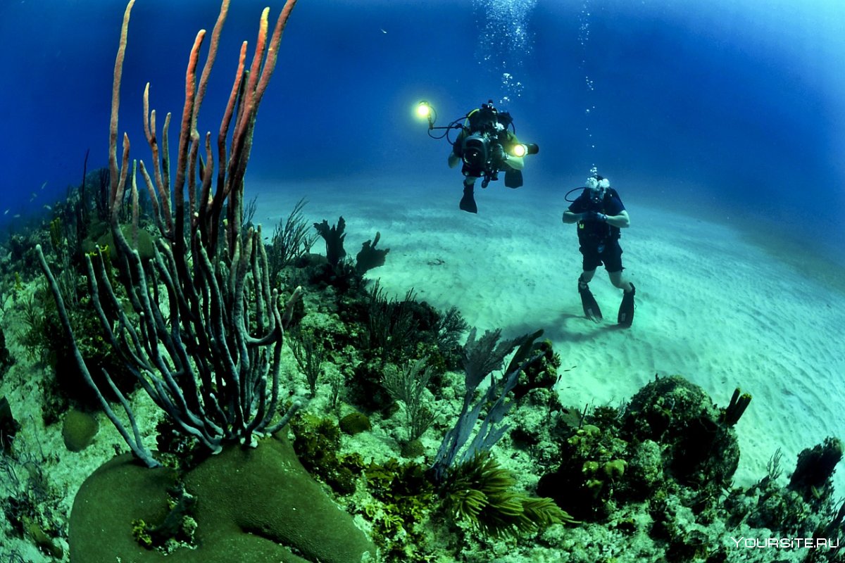 Кайо Гильермо риф подводный