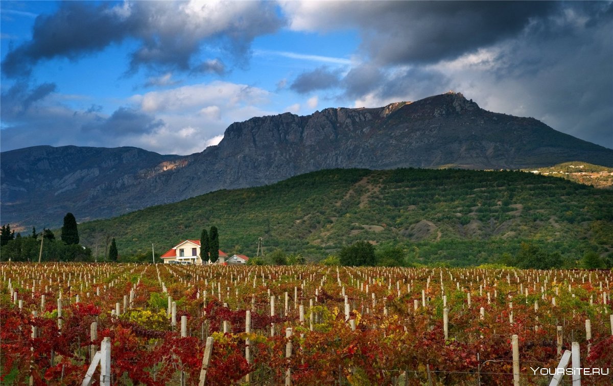 Италия Виноградная Долина Кьянти