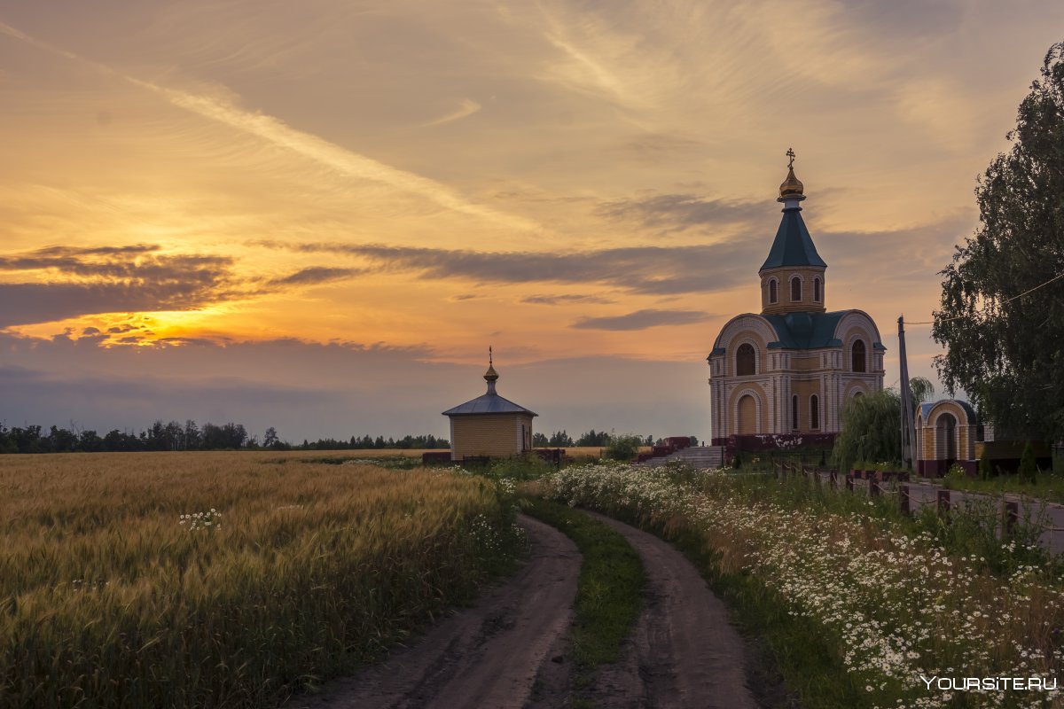 Церковь в поле