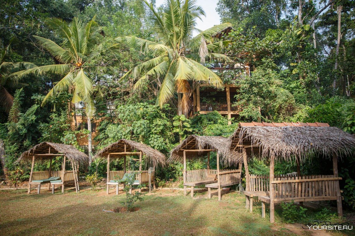 Шри Ланка отель в джунглях