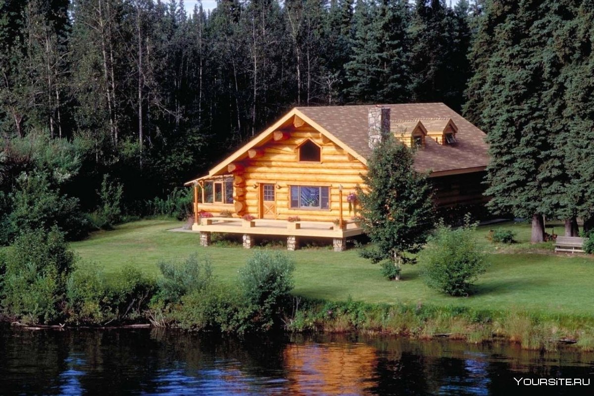 Маленький деревянный домик в лесу